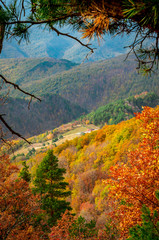 Autumn in Cozia, Carpathian Mountains, Romania. Colorful Autumn Leave. Vivid fall colors in forest. Scenery of nature with sunlight through branches of trees.