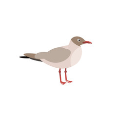 The seagull. Sea birds in the style of flat. Vector illustration.
