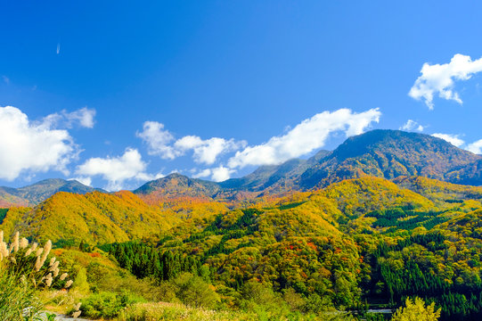 1 Best 秋山郷 Images Stock Photos Vectors Adobe Stock 1 Best 秋山郷 Images Stock Photos Vectors Adobe Stock