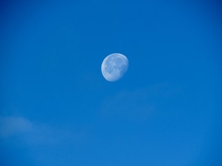 moon high in the day light sky