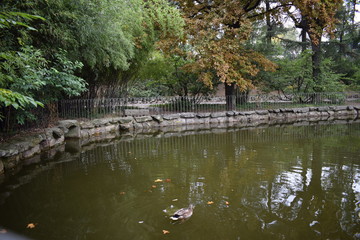 Gardens Campo del Moro (Royal Palace), Madrid