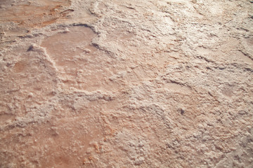 dried land after a drought landscape background