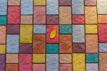 Yellow leaf on colorful paving stone bricks. Autumn composition concept.
