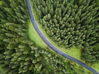 arial veiw of empty road in green forest. drone shot