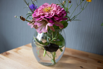 Blumenstrauss in Vase