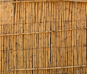 The texture of the dry reeds. Yellow reeds.