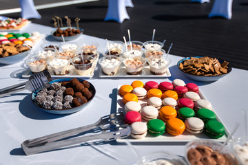 Assortment of tasty appetizers - canapes, cookies on the white tablecloth