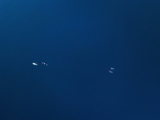 people swim in the blue sea, ocean. top view. drone shot
