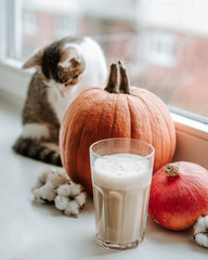 Morning with cup of coffee with pumpkin and cat sitting on the windowsill