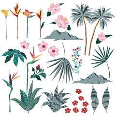 Set of  vector  beautiful artistic bright tropical with exotic forest