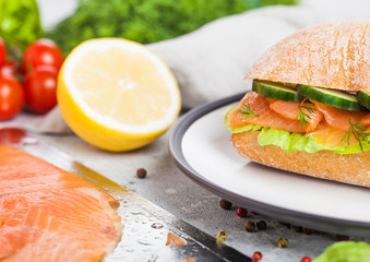 Fresh healthy salmon sandwich with lettuce and cucumber on the plate on white stone background. Breakfast snack. Fresh tomatoes, dill and lemon. Tray of salmon