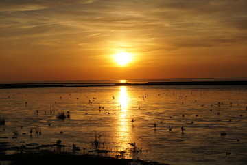 Sonnenuntergang an der Nordseeküste