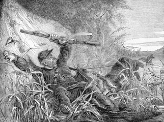 Caricature and fun, unfortunate hunt, vintage humor: the hunter falls and loses his prey