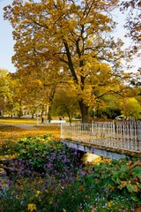 Autumn in central park - Marianske Lazne (Marienbad) - great famous Bohemian spa town in the west...