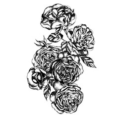 Beautiful graphic bouquet with flowers rose  