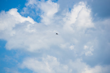 beautiful background bright blue sky with white clouds