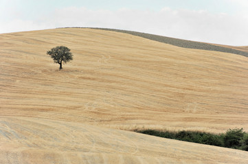Strohballen, abgeerntete Weizenfelder, Landschaft vor Radicofani und Monte Amiata, Provinz Siena und Grosseto, Toskana, Italien, Europa