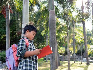 Cute asian student boy stand reading book in the nature park with sunlight  background, people, learning, relax, education and Natural classroom concept