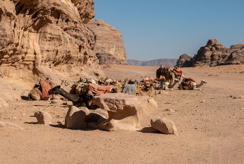 wadi rum