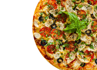 Pizza with Chicken meat, Mozzarella cheese, tomato, olive. Italian pizza isolated on white background. with copy space. top view