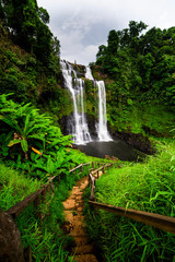 Obraz premium Waterfall in tropical rain forest in Laos