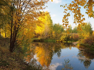 Autumn park, trees, river bay. Russian autumn nature. Russia, Ural, Perm region