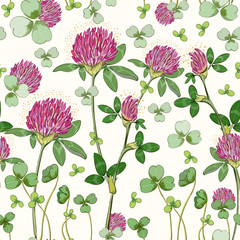 Floral seamless pattern, clover print on paper or textile. Clover background. Summer plants.