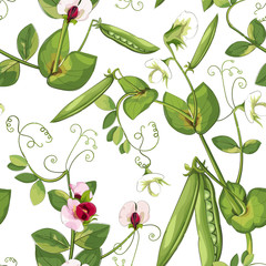 Peas seamless pattern, print on paper or textile. Peas background. Summer plants. Beans pattern.
