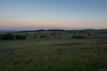 Das Naturschutzgebiet 