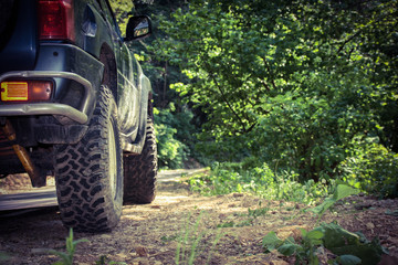 Fototapeta premium Offroad in very summer