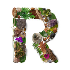 R letter created with nature objects in flatlay arrangement