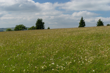 Fototapeta premium Landschaft um den Heidelstein in der Rhön, Biosphärenreservat Rhön, Unterfranken, Franken, Bayern, Deutschland