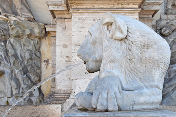 Lion of the Acqua Felice fountain or also a fountain of Moses, in honor of Pope Sixtus V, Rome, Italy