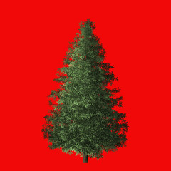 Red White Landscape Christmas Trees Advertisement