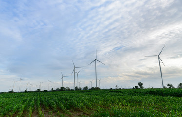 Fototapeta na wymiar Landscape of Windmills for electric power production at Huai Bong,