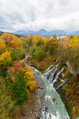 Beautiful Shirahige Waterfall  in autumn