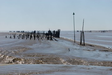 Moules de bouchots à Charron