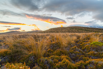 Sunrise at Tongariro National Park, Northland, New Zealand