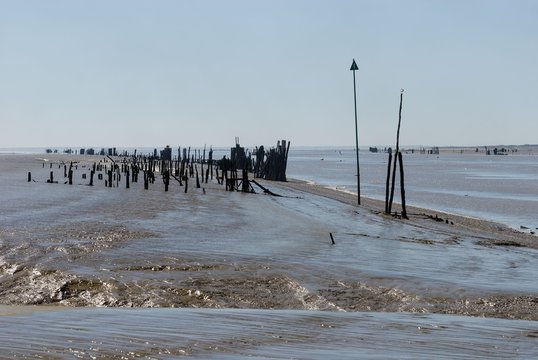 Moules de bouchots &agrave; Charron