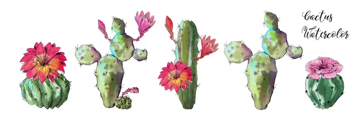 Foto op Canvas Watercolor cactus set isolated on white background. © Yuliya