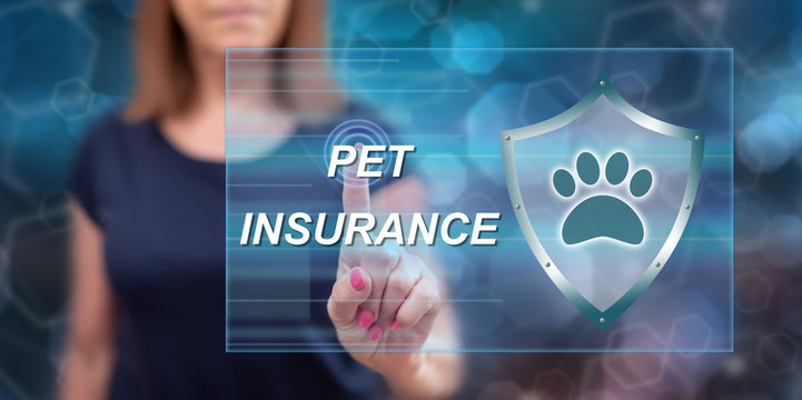 Woman touching a pet insurance concept