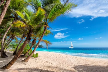 Papier Peint photo Lavable Plage et mer Plage ensoleillée exotique avec palmiers et voilier dans la mer turquoise sur les îles paradisiaques d& 39 Hawaï. Vacances d& 39 été et concept de plage tropicale.