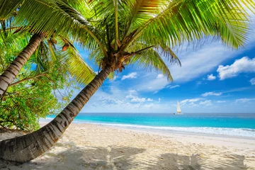 Badezimmer Foto Rückwand Exotischer Sandstrand mit Palmen und einem Segelboot im türkisfarbenen Meer auf der Paradiesinsel Jamaika. Sommerferien und Reisekonzept. © lucky-photo