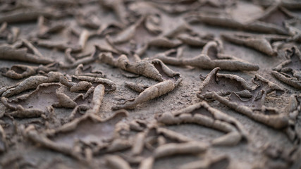 Dry earth, swelled land