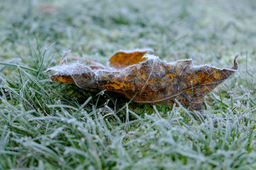 Frost am Boden - Glatteisgefahr