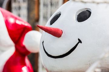 closeup of face snowman