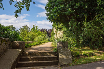 stairs on a path in the park between the trees and the blue sky
