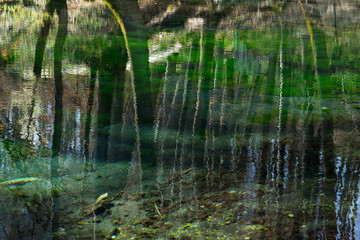 Spiegelung am grünen See
