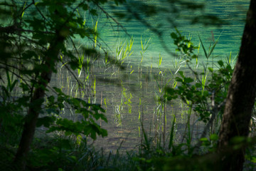 Grüner See