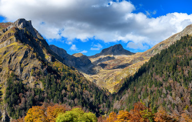 mountain autumn landscape with colorful forest